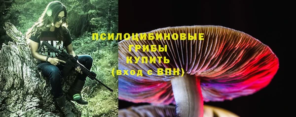 дживик Белоозёрский