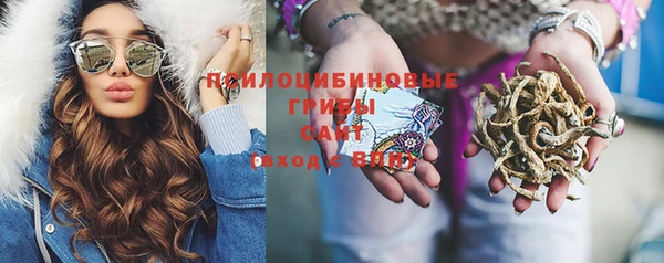 молекула духа Беломорск
