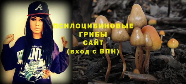 дживик Белоозёрский