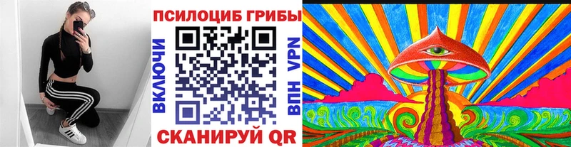 продажа наркотиков  Туран  Галлюциногенные грибы Psilocybine cubensis 